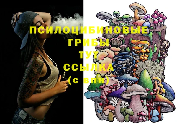apvp Аркадак