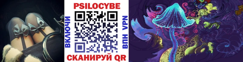 Псилоцибиновые грибы Psilocybine cubensis  Ахтубинск 
